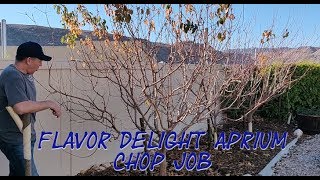 Flavor Delight Aprium Chop Job