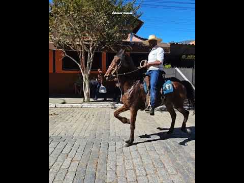máquina de cavalo em Passa Quatro mg
