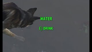 i just want to revive dogmeat, bethesda.