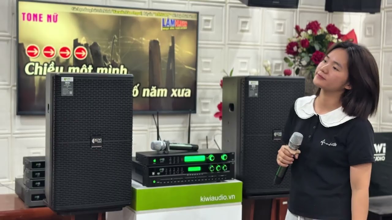 Loa full Karaoke gia đình bass 30 Kiwi HD30