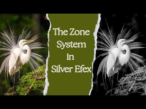 Mastering Tones in Nik Silver Efex with the Zone System