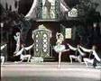 Harlequinade - Les Millions d'Arlequin Ballet ...