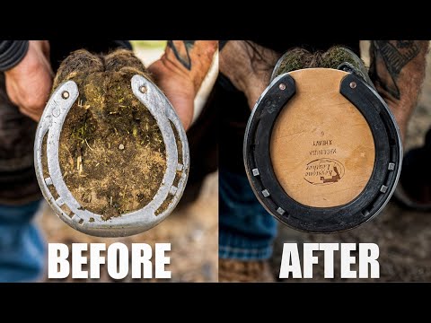 Satisfying Full Horse Hoof Restoration | 4K FARRIER ASMR