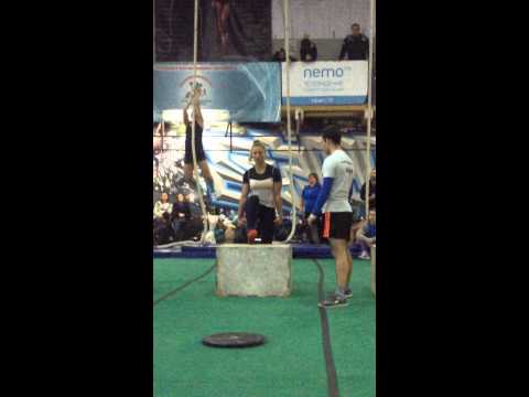 Плюшевая борода