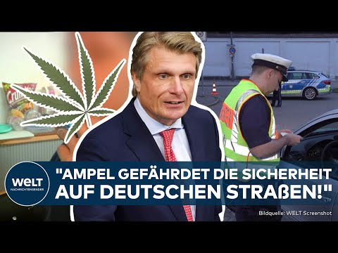 CANNABIS AM STEUER: Bundesregierung will Grenzwerte anpassen! Union schäumt!