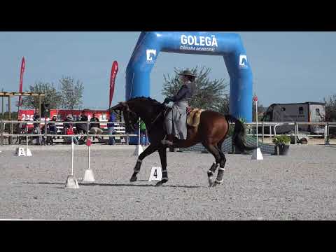 Nicole Silva e Habil de Sena - Maneabilidade - Trofeu APSL