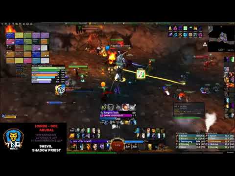 TNG RAGE TBC-Classic -  Gruul's Lair - High King Maulgar