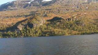 fjellrypa (Sie Gubba)     Tore Handeland