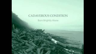 Cadaverous Condition: Wicklow Nightfall