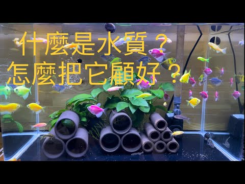 魚缸水質