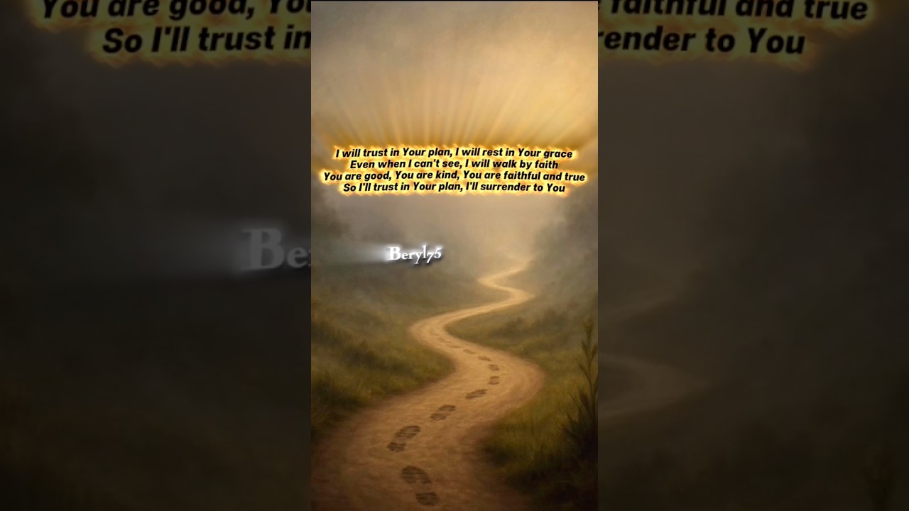 Trust in His Plan - Graced Brothers