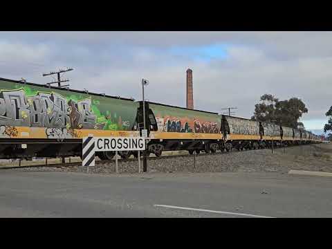 7736V loaded grainy to Geelong, 8/6/24, Stawell VIC