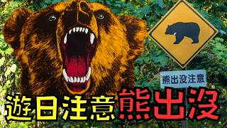 Re: [新聞] 今年已死9人！日本今再有熊襲人　4人倒農