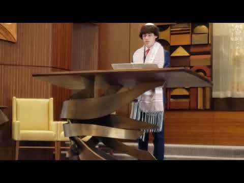 Jake Bar Mitzvah 2020