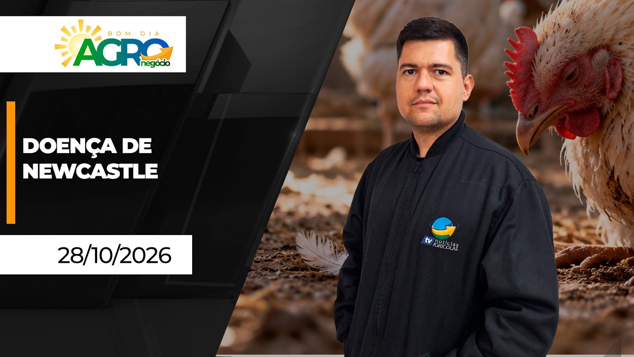 Bom Dia Agro - Novo caso da doença de Newcastle é confirmado em Santa Catarina