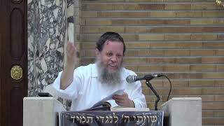 שיעור כללי - שיקולים ציבוריים בפסיקת הלכה - סוגיית פוקו וזרעו | הרב אהרן פרידמן, ראש הישיבה (ישיבת כרם ביבנה) - התמונה מוצגת ישירות מתוך אתר האינטרנט יוטיוב. זכויות היוצרים בתמונה שייכות ליוצרה. קישור קרדיט למקור התוכן נמצא בתוך דף הסרטון