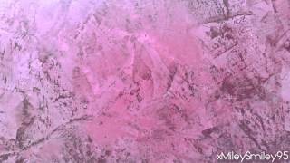 Official Fan Video: &quot;Happy Never After&quot; by Megan &amp; Liz