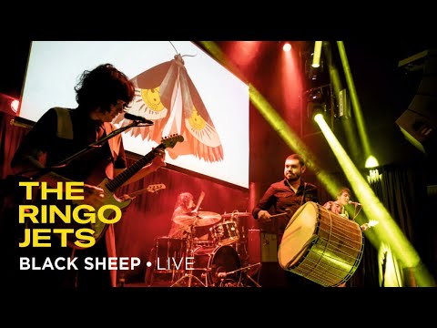 The Ringo Jets - "Black Sheep" Live at SALON IKSV