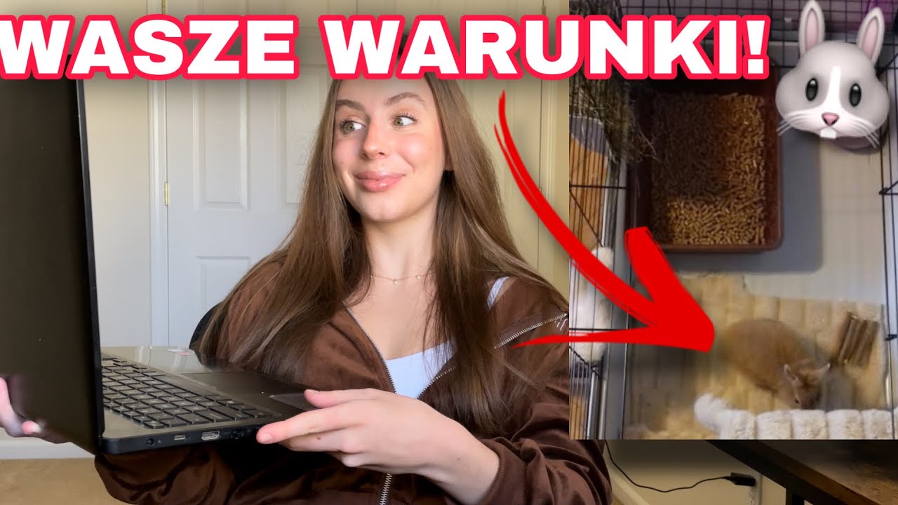 OCENIAM WARUNKI WASZYCH KRÓLIKÓW #3