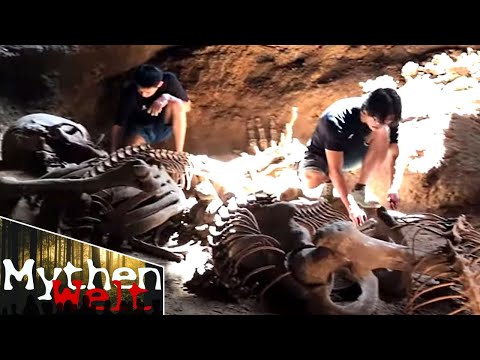 14 Archäologische Funde die nicht sein dürfen