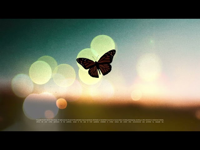 Video zu 'Igen & Igen' ansehen