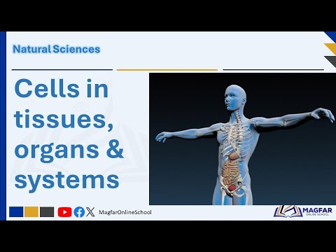 Cells in Tissues, Organs, and Systems | Grade 9 Term 1 Natural Sciences