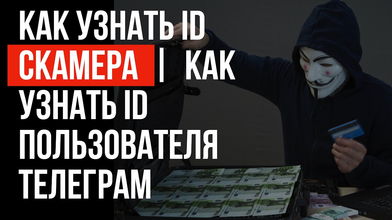 Как узнать ID СКАМЕРА | Как узнать ID пользователя Телеграм