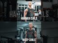 🔥Bicep Superset🔥二頭肌Superset|新手訓練增肌計劃|Bicep Curl & Hammer Curl