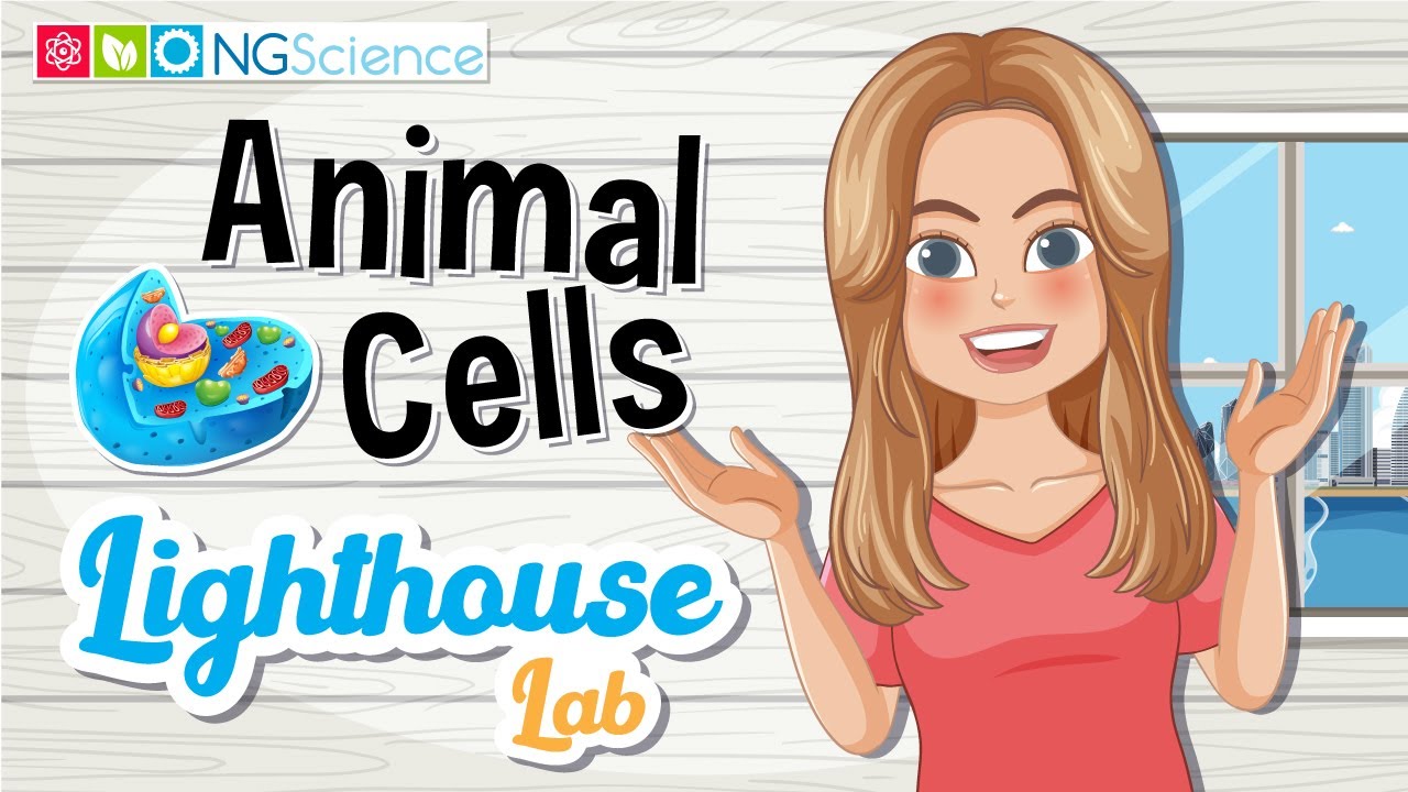 Lighthouse Lab – Animal Cells
