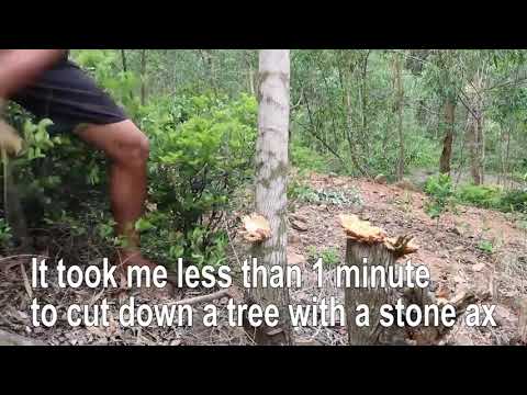 365  Days  How  I  Survival,  Cooking  And  Building  In  The  Rain  Forest     Full  Video