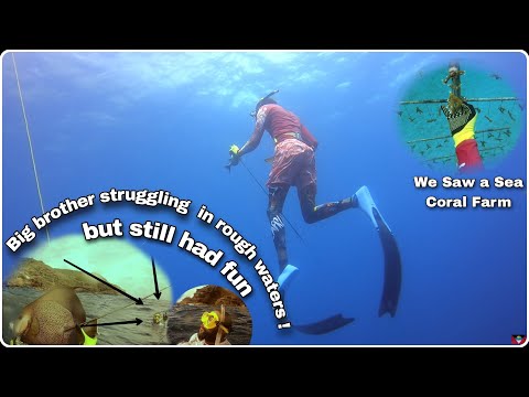 Antigua Spearfishing - Rough Waters (Freedive)