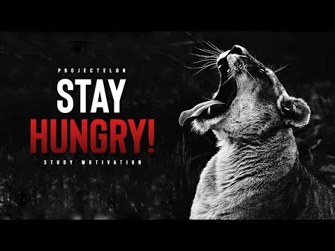 download lagu mp3 mp4 Stay Hungry, download lagu Stay Hungry gratis, unduh video klip Stay Hungry