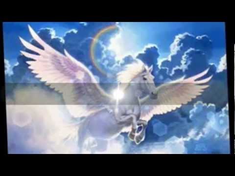 cupido loco impacto de montemorelos