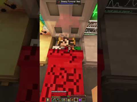 Jetmoh - Slimecicle Kills Forever while being in a coma on QSMP Minecraft