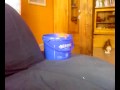 Video 0010