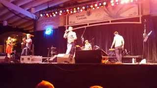 Gaelic Storm - Darcy's Donkey