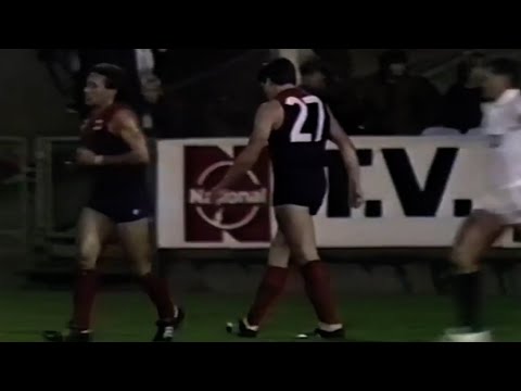 1987 Panasonic Cup Night Grand Final - All Melbourne Goals & Final Siren - Melbourne v Essendon