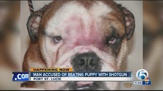 Port. St. Lucie man accused of beating dog with gun