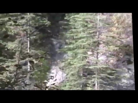 STABALIZED FAKE Footage - Todd Standing’s Bigfoot video on Survivorman Bigfoot with Les Stroud