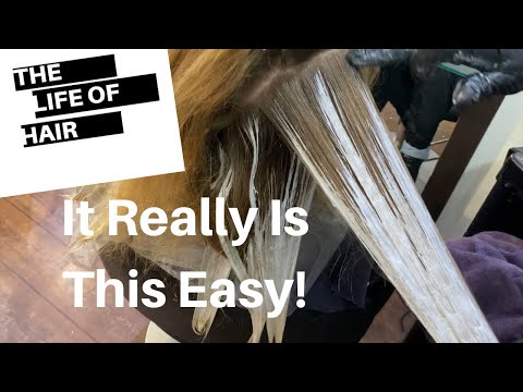 Easy Quick Free Hand Balayage and Money Piece (Bleach...