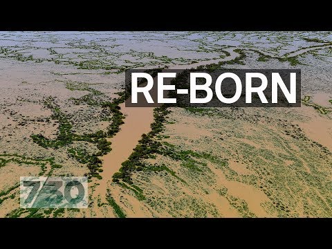Lake Eyre’s biggest flood in nearly 50 years | 7.30