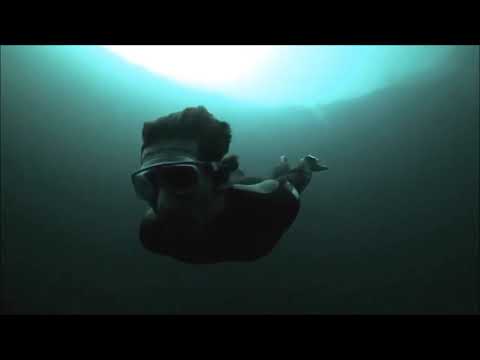 Miroslav Vrlik & Exouler -  Immersion (Original Mix)