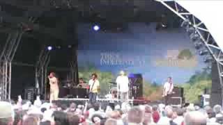 Dreadzone at Wychwood 2008 - Iron Shirt