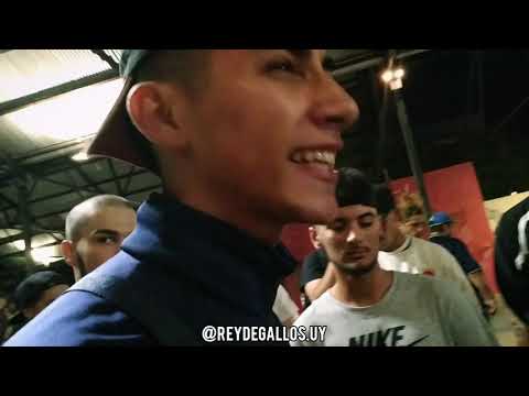 CDV F5: GVILLE v SEB v EZAFIRO - 8vs