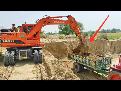 Excavator machine fills the Belarus Tractor trolley with the sand