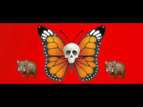 babá ikujeran ♥️🦋