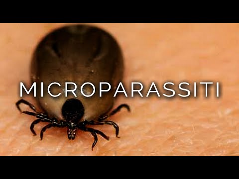 1185-IT Carla, MICROPARASSITI - Ipnosi Esoterica ∞ Lucio Carsi