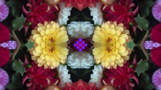 St. Louis Tickle (by Dave Van Ronk live at Indiana University '64)