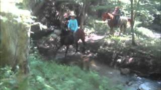 preview picture of video '2013 Tom & Marge at Adventure Horse Riding in NYS by Mary Dixon Smilla13'