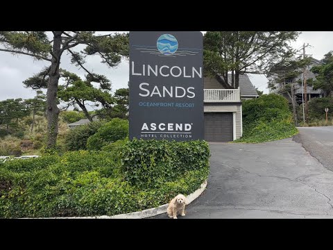 Dog Friendly Hotel Review - Lincoln Sands Oceanfront Resort Lincoln City Oregon